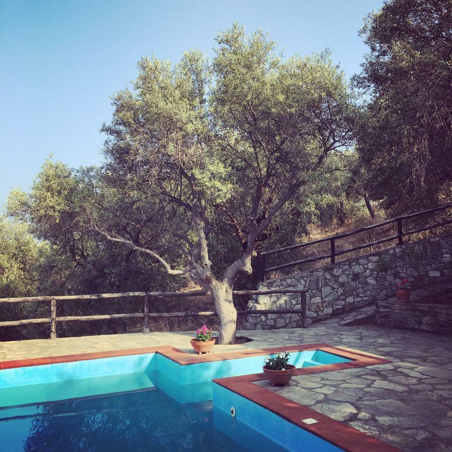 Villa Valia: Traditional Luxurious Residence Pyrgadikia Eksteriør billede